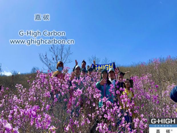 山野映山紅遍，嘉碳不負(fù)春光