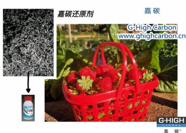 嘉碳還原劑守護(hù)“莓”好，甜蜜上線