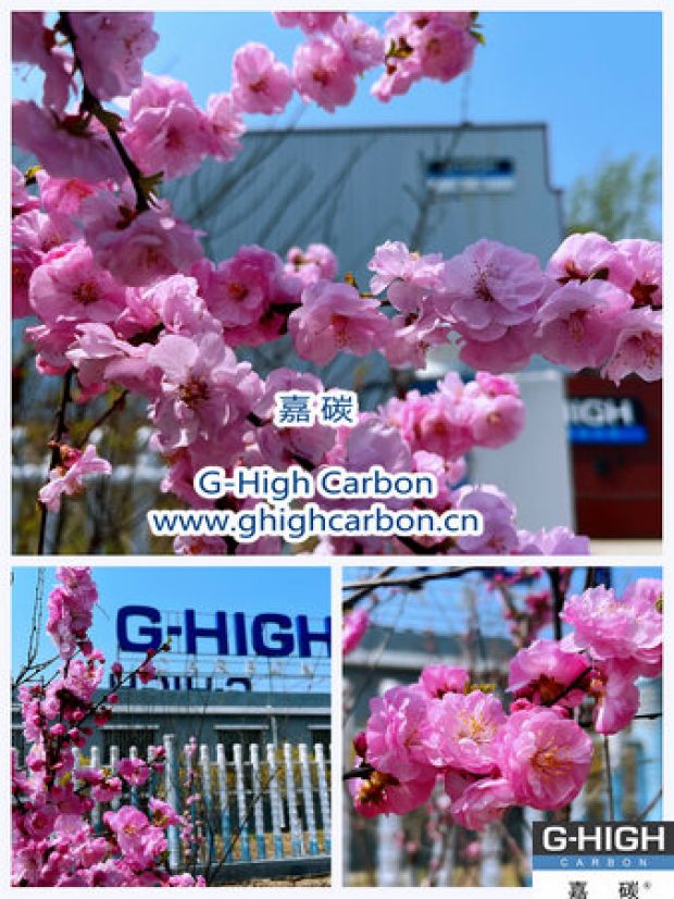 環(huán)保嘉碳，春花爛漫