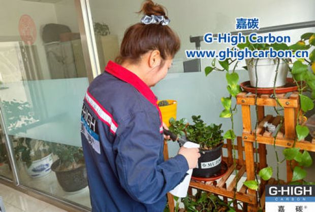 午休時光種花忙，美化辦公環(huán)境添綠意